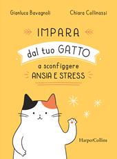 Impara dal tuo gatto a sconfiggere ansia e stress