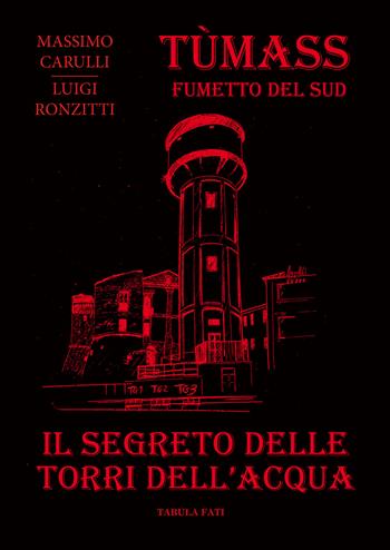 Il segreto delle torri dell'acqua - Massimo Carulli, Luigi Ronzitti - Libro Tabula Fati 2022, L'arte invisibile | Libraccio.it