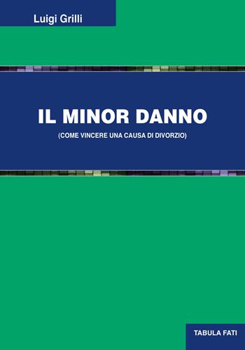 Il minor danno (come vincere una causa di divorzio) - Luigi Grilli - Libro Tabula Fati 2022, Uomini & società | Libraccio.it