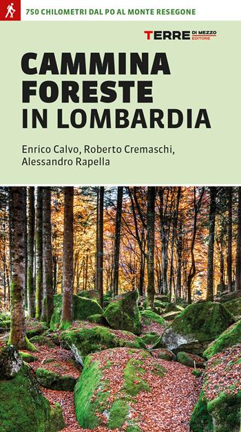 CamminaForeste in Lombardia 750 chilometri dal Po al monte Resegone - Enrico Calvo, Roberto Cremaschi, Alessandro Rapella - Libro Terre di Mezzo 2022, Percorsi | Libraccio.it