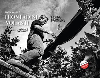I contadini volanti-Flying farmers. Ediz. bilingue - Flavia Amabile - Libro All Around 2023 | Libraccio.it