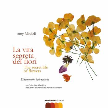 La vita segreta dei fiori. Testo inglese a fronte - Amy Mindell - Libro AnimaMundi edizioni 2021 | Libraccio.it