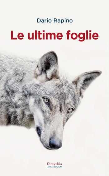 Le ultime foglie - Dario Rapino - Libro Ianieri 2022, Forsythia. Narrativa e romanzi | Libraccio.it