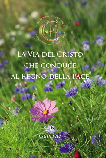 La via del Cristo che conduce al regno della pace - Gabriele - Libro Edizioni Gabriele - La Parola 2023 | Libraccio.it