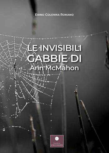 Le invisibili gabbie di Ann McMahon - Erino Colonna Romano - Libro Casa Editrice il Filo di Arianna 2021, Romanzi | Libraccio.it
