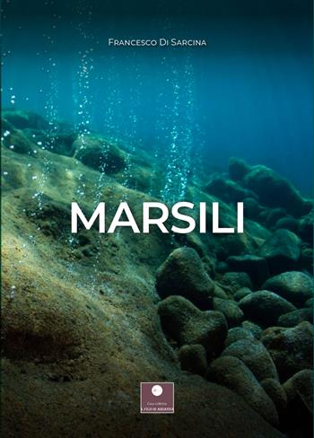 Marsili - Francesco Di Sarcina - Libro Casa Editrice il Filo di Arianna 2022, Romanzi | Libraccio.it