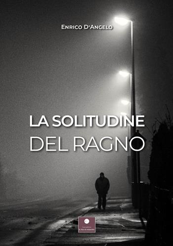 La solitudine del ragno - Enrico D'Angelo - Libro Casa Editrice il Filo di Arianna 2022, Romanzi | Libraccio.it
