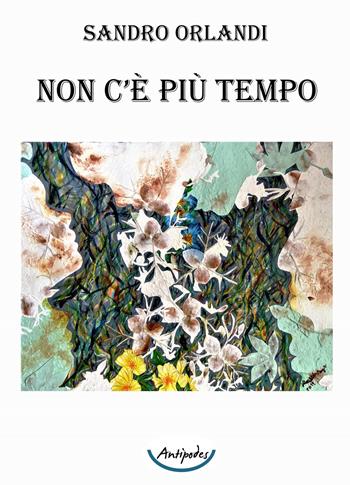 Non c'è più tempo - Sandro Orlandi - Libro Antipodes 2022 | Libraccio.it