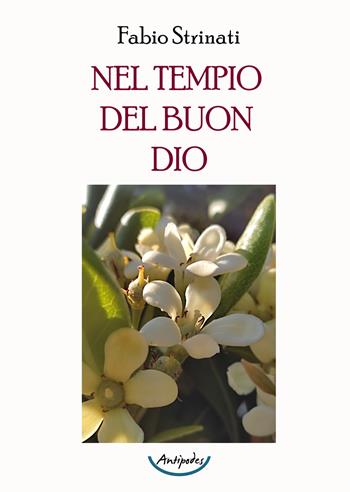 Nel tempio del buon Dio - Fabio Strinati - Libro Antipodes 2022 | Libraccio.it