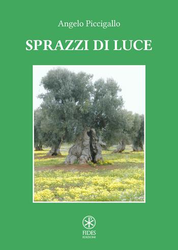 Sprazzi di luce - Angelo Piccigallo - Libro Fides Edizioni 2020, Parole | Libraccio.it