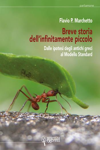 Breve storia dell'infinitamente piccolo. Vol. 1: Dalle ipotesi degli antichi greci al modello standard - Flavio P. Marchetto - Libro Scienza Express 2022, Parliamone | Libraccio.it