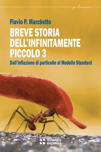 Breve storia dell'infinitamente piccolo. Vol. 3 - Flavio P. Marchetto - Libro Scienza Express 2025, Parliamone | Libraccio.it