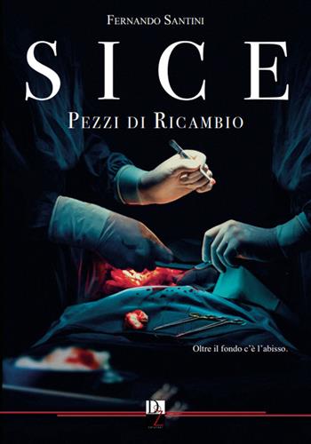 Pezzi di ricambio. SICE - Fernando Santini - Libro DZ Edizioni 2024 | Libraccio.it