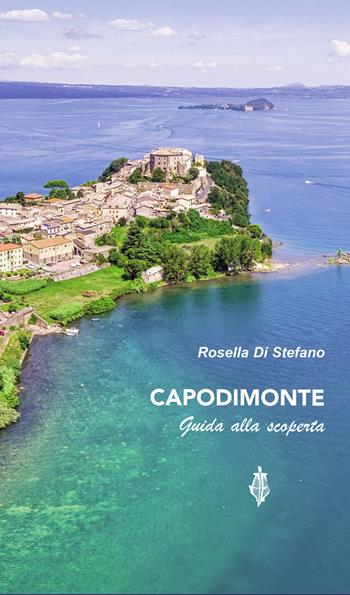 Capodimonte. Guida alla scoperta - Rosella Di Stefano - Libro Annulli 2024, Guide AE | Libraccio.it