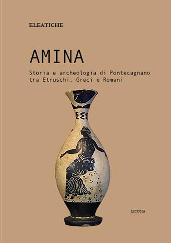 Amina. Storia e archeologia di Pontecagnano tra etruschi, greci e romani - Eleatiche - Libro Licosia 2025, Eleatiche | Libraccio.it