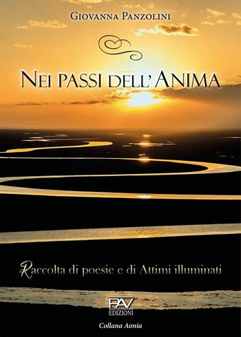 Nei passi dell'anima. Raccolta di poesie e di attimi illuminati - Giovanna Panzolini - Libro Pav Edizioni 2020, Aonia | Libraccio.it