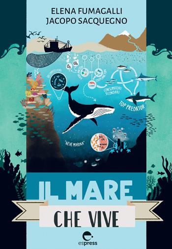 Il mare che vive - Elena Fumagalli, Jacopo Sacquegno - Libro Espress Edizioni 2022, Ambiente che vive | Libraccio.it