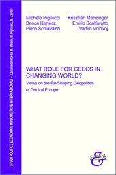 What role for CEECs in changing world? Views on the re-shaping geopolitics of Central Europe
