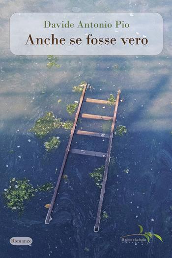 Anche se fosse vero - Davide Antonio Pio - Libro Il ramo e la foglia edizioni 2023 | Libraccio.it