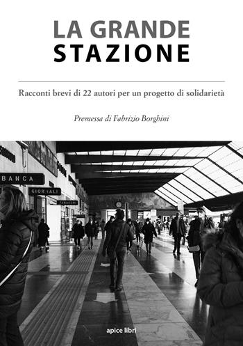 La grande stazione. Racconti brevi di 22 autori per un progetto di solidarietà  - Libro Apice Libri 2022, Passim | Libraccio.it