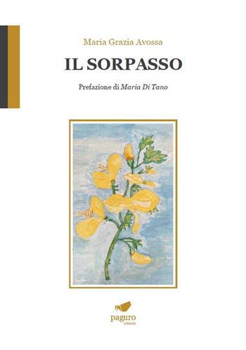 Il sorpasso - Maria Grazia Avossa - Libro Paguro 2024 | Libraccio.it