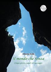 Il mondo che ronza. Cinque giorni a piedi nel paesaggio