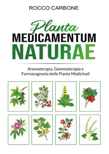 Planta medicamentum naturae. Aromaterapia, gemmoterapia e fitoterapia - Rocco Carbone - Libro Bookness 2022 | Libraccio.it