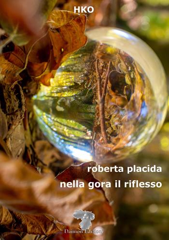 Nella gora il riflesso - Roberta Placida - Libro Daimon Edizioni 2023, HKO | Libraccio.it