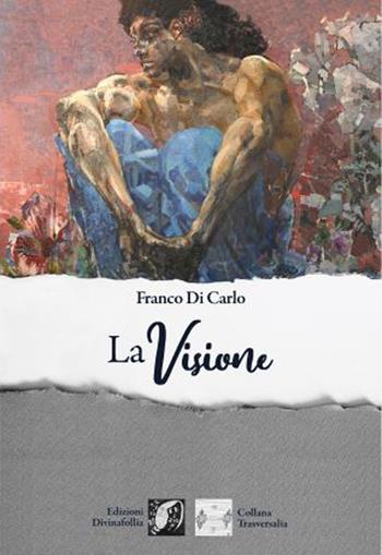 La visione - Franco Di Carlo - Libro Edizioni DivinaFollia 2023 | Libraccio.it