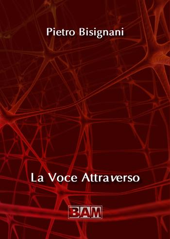La voce attraverso - Pietro Bisignani - Libro Bam Music Italia 2019 | Libraccio.it