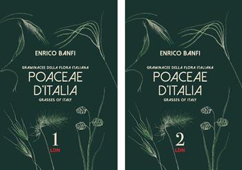 Poaceae d'Italia. Graminacee della flora italiana-Grasses of Italy. Ediz. bilingue - Enrico Banfi - Libro Libreria della Natura 2026 | Libraccio.it