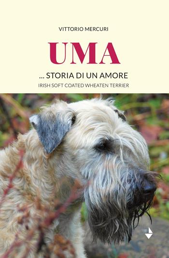 Uma... storia di un amore. Irish Soft Coated Wheaten Terrier - Vittorio Mercuri - Libro Venturaedizioni 2022, Spiaggia libera | Libraccio.it