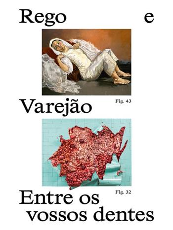 Paula Rego e Adriana Varejão. Entre os vossos dentes - Elena Crippa, Helena de Freitas, Raphael Fonseca - Libro Lenz Press 2025 | Libraccio.it