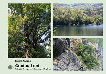 Genius loci. Trilogia del legno, dell'acqua, della pietra. Ediz. illustrata - Franco Zavagno - Libro La Memoria del Mondo 2024 | Libraccio.it