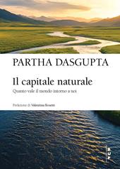 Il capitale naturale