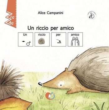 Un riccio per amico. InBook. Ediz. CAA - Alice Campanini - Libro Storie Cucite 2023, Zig Zag | Libraccio.it