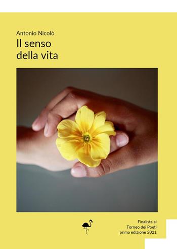 Il senso della vita - Antonio Nicolò - Libro G.C.L. edizioni 2022 | Libraccio.it