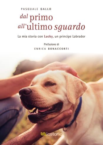 Dal primo all'ultimo sguardo - Pasquale Gallo - Libro Lastaria Edizioni 2021, Neon | Libraccio.it