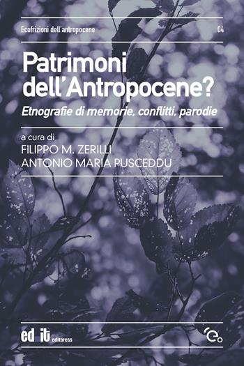 Patrimoni dell'antropocene? Etnografie di memorie, conflitti, parodie  - Libro editpress 2024, Ecofrizioni dell'antropocene | Libraccio.it