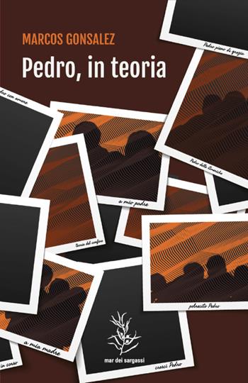 Pedro, in teoria - Marcos Gonsalez - Libro Mar dei Sargassi 2023, Terranova | Libraccio.it