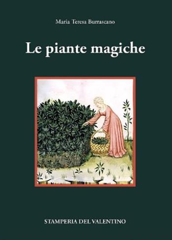 Le piante magiche - Maria Teresa Burrascano - Libro Stamperia del Valentino 2022, I polifemi | Libraccio.it