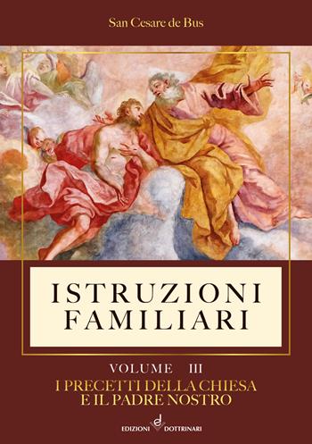 Istruzioni familiari. Vol. 3: I precetti della Chiesa e il Padre nostro - San Cesare De Bus - Libro Dottrinari 2022 | Libraccio.it