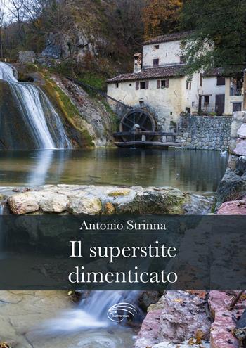 Il superstite dimenticato - Antonio Strinna - Libro Pluriversum Edizioni 2021 | Libraccio.it