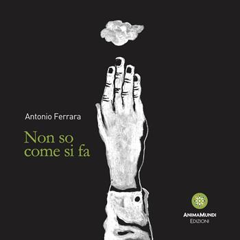 Non so come si fa - Antonio Ferrara - Libro AnimaMundi edizioni 2023, Les cahiers dessinés | Libraccio.it
