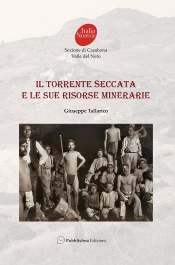 Il torrente Seccata e le sue risorse minerarie - Giuseppe Tallarico - Libro Pubblisfera 2022 | Libraccio.it