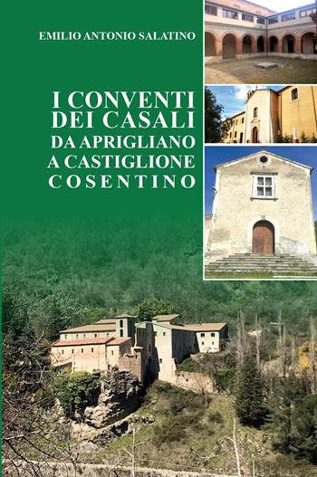 I conventi dei Casali. Da Aprigliano a Castiglione Cosentino - Emilio Antonio Salatino - Libro Pubblisfera 2024 | Libraccio.it