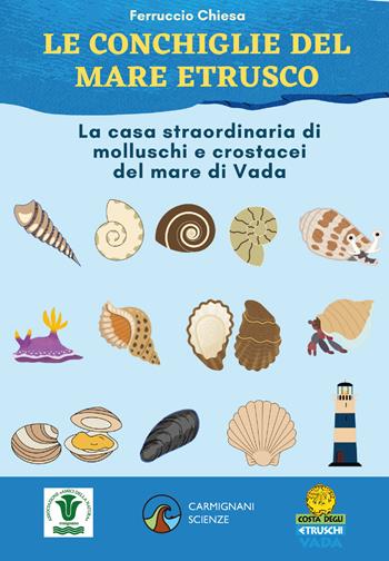 Le conchiglie del mare etrusco. La casa straordinaria di molluschi e crostacei. Ediz. illustrata - Ferruccio Chiesa - Libro Rapsodie Carmignani 2025 | Libraccio.it