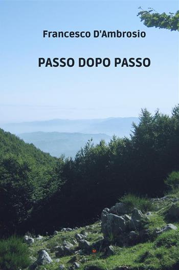 Passo dopo passo - Francesco D'Ambrosio - Libro Atile 2022 | Libraccio.it