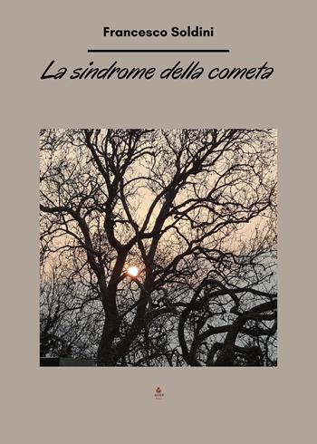 La sindrome della cometa - Francesco Soldini - Libro Atile 2022 | Libraccio.it