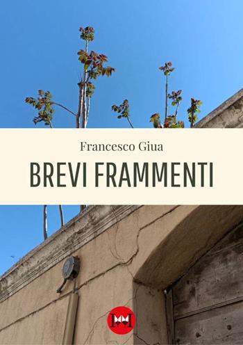 Brevi frammenti - Francesco Giua - Libro Ivvi 2023, Poesia | Libraccio.it